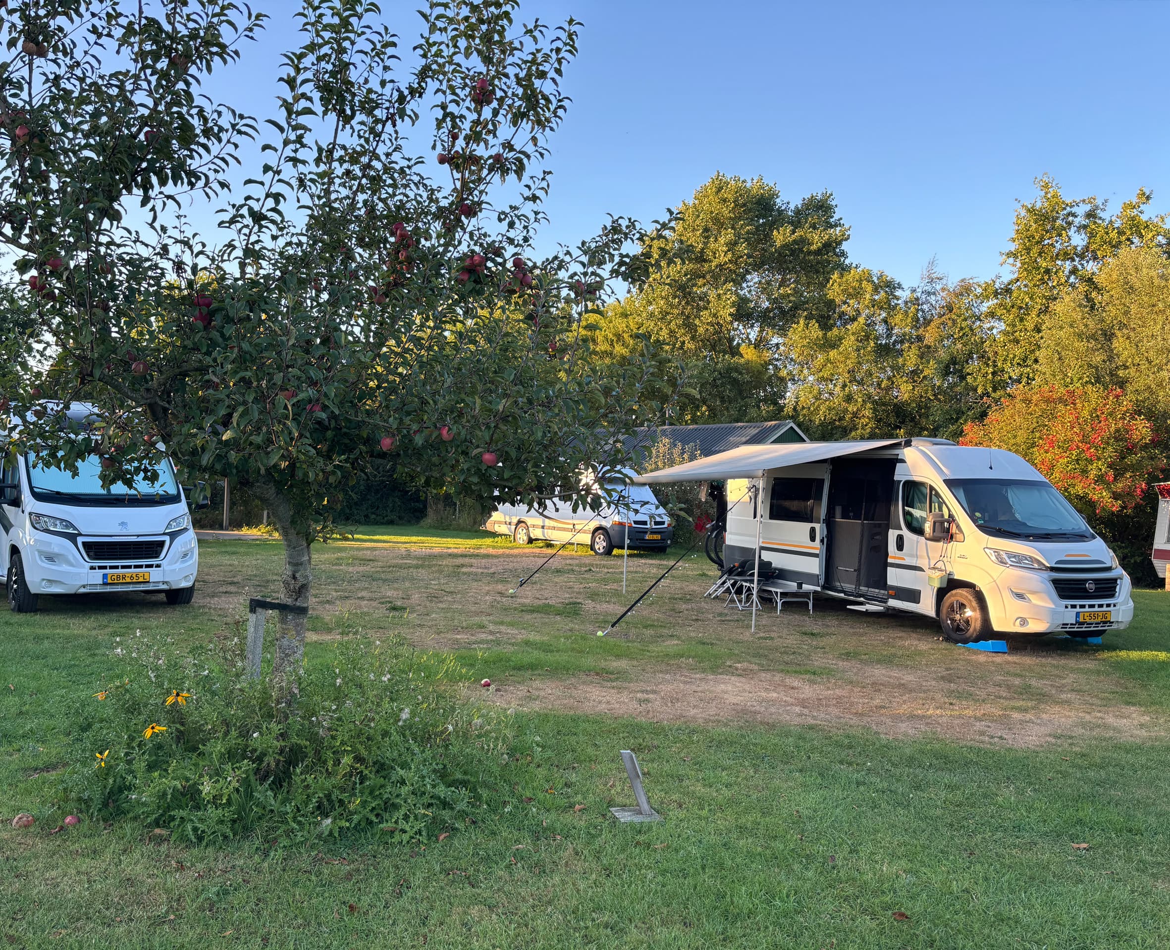 Twee campers staan opgesteld onder een appelboom op het kampeerterrein van zorgboerderij Hiddema State, met een luifel uitgeklapt in de avondzon.