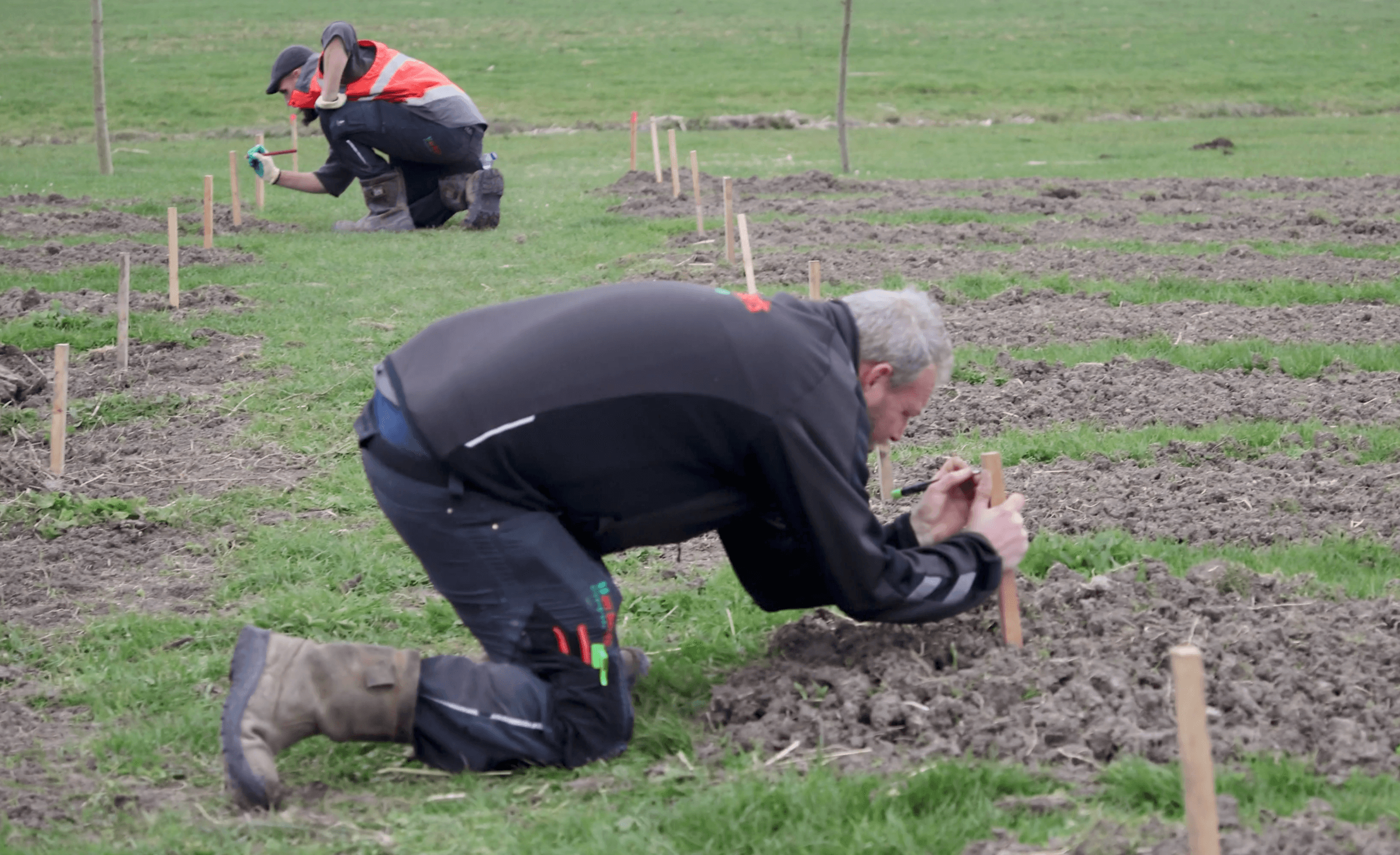 Twee collega's van Van Beets planten en zetten jonge boompjes uit met houten paaltjes, geknield in een omgeploegd veld.